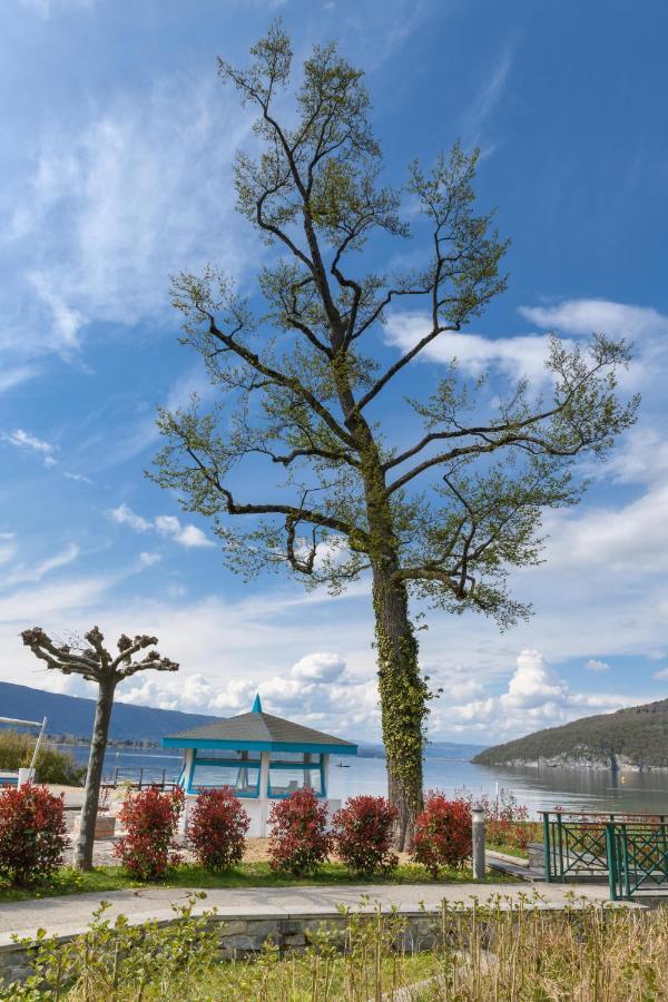 Apartment Rare : Au Bord Du D'annecy, Cosy En Rez De Jardin Avec Terrasse Privative *